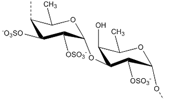 Cladosiphon Fucoidan
