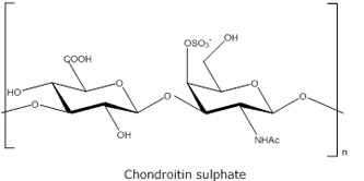 Chondroitin Sulphate