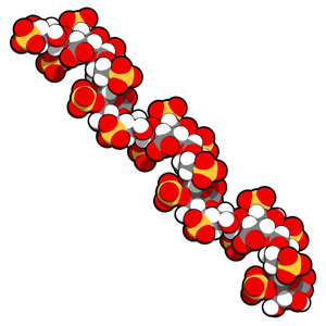 Heparin Sodium Salt CAS 9041-08-1
