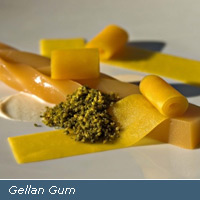 Gellan Gum CAS 71010-52-1