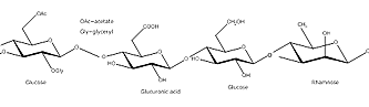 Gellan Gum