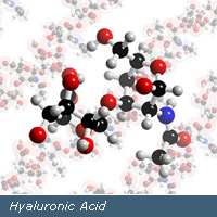 Hyaluronic acid sodium salt-MW, 0.2-0.5M CAS 9067-32-7